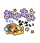 シェリぽんと愉快な仲間たち8（個別スタンプ：40）