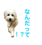まぬかちゃん（個別スタンプ：5）