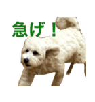 まぬかちゃん（個別スタンプ：8）