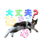 小春びより…2（個別スタンプ：7）