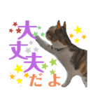 小春びより…2（個別スタンプ：8）