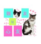 小春びより…2（個別スタンプ：11）