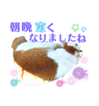 小春びより…2（個別スタンプ：17）
