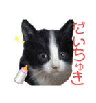 小春びより…2（個別スタンプ：23）