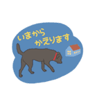 黒ラブ小太郎くんのスタンプ（個別スタンプ：10）