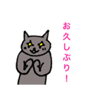 ネコの日常会話 友達、後輩、家族間で♪（個別スタンプ：31）