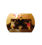 英樹グループスタンプ（個別スタンプ：22）