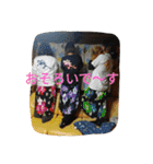 英樹グループスタンプ（個別スタンプ：24）