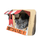 我が家の仲間、猫's（個別スタンプ：9）