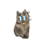我が家の仲間、猫's（個別スタンプ：24）
