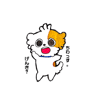 ハピラピシーズー犬のラッピーくん（個別スタンプ：2）