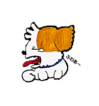 ハピラピシーズー犬のラッピーくん（個別スタンプ：31）