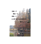 応援紙レター（個別スタンプ：12）