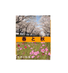 応援紙レター（個別スタンプ：30）