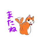 日常☆茶トラ猫（個別スタンプ：5）