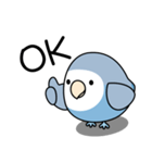 コザクラインコ（ターコイズコバルト）（個別スタンプ：1）
