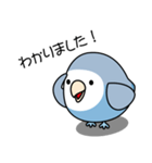 コザクラインコ（ターコイズコバルト）（個別スタンプ：3）