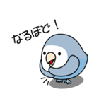 コザクラインコ（ターコイズコバルト）（個別スタンプ：5）