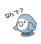 コザクラインコ（ターコイズコバルト）（個別スタンプ：6）