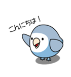 コザクラインコ（ターコイズコバルト）（個別スタンプ：10）