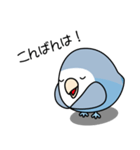 コザクラインコ（ターコイズコバルト）（個別スタンプ：11）