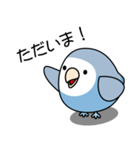 コザクラインコ（ターコイズコバルト）（個別スタンプ：13）