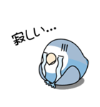 コザクラインコ（ターコイズコバルト）（個別スタンプ：22）