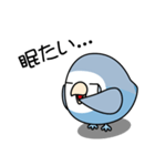 コザクラインコ（ターコイズコバルト）（個別スタンプ：23）