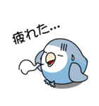 コザクラインコ（ターコイズコバルト）（個別スタンプ：24）