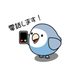 コザクラインコ（ターコイズコバルト）（個別スタンプ：25）