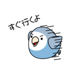 コザクラインコ（ターコイズコバルト）（個別スタンプ：28）