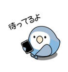 コザクラインコ（ターコイズコバルト）（個別スタンプ：29）
