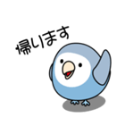 コザクラインコ（ターコイズコバルト）（個別スタンプ：30）