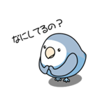 コザクラインコ（ターコイズコバルト）（個別スタンプ：31）