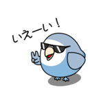コザクラインコ（ターコイズコバルト）（個別スタンプ：34）