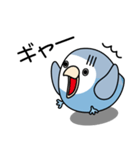 コザクラインコ（ターコイズコバルト）（個別スタンプ：36）