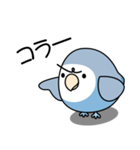 コザクラインコ（ターコイズコバルト）（個別スタンプ：37）