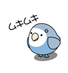 コザクラインコ（ターコイズコバルト）（個別スタンプ：39）