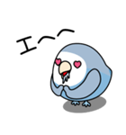 コザクラインコ（ターコイズコバルト）（個別スタンプ：40）