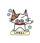 ねこのみーた（個別スタンプ：13）