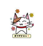 ねこのみーた（個別スタンプ：14）