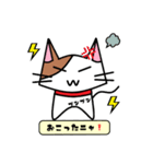 ねこのみーた（個別スタンプ：19）