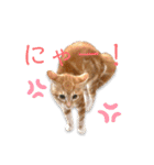 猫(こはく)のスタンプ（個別スタンプ：4）