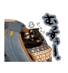 NIKE♡PUMA3（個別スタンプ：27）