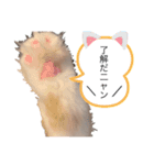 RUBINちやん①（個別スタンプ：2）