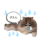 RUBINちやん①（個別スタンプ：3）
