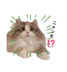RUBINちやん①（個別スタンプ：4）