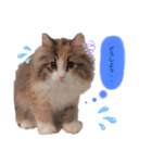 RUBINちやん①（個別スタンプ：5）