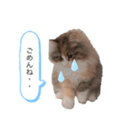 RUBINちやん①（個別スタンプ：7）