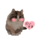 RUBINちやん①（個別スタンプ：8）